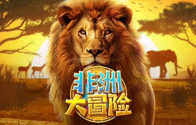 AOA体育官网入口
